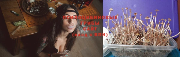 a pvp Елабуга