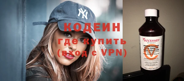 трава Ельня