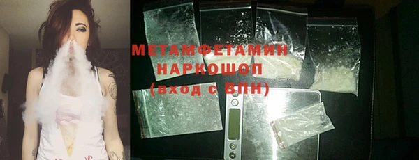 трава Ельня