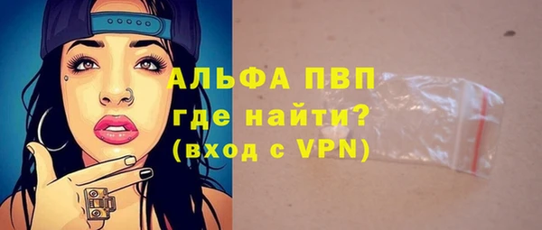 трава Ельня