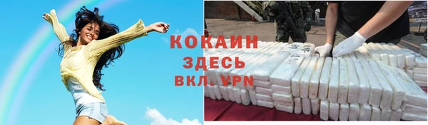трава Ельня