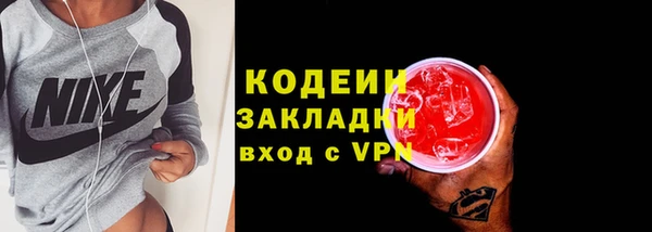 трава Ельня