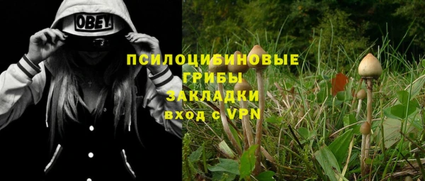 бошки Заволжск