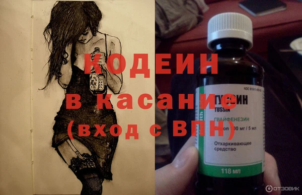 трава Ельня