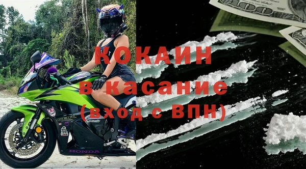 трава Ельня