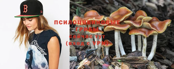 mdma Елизово