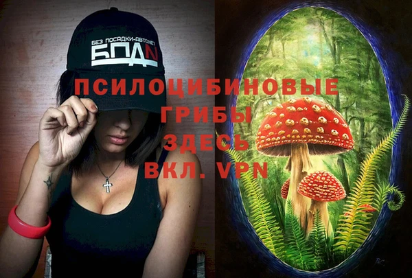 трава Ельня