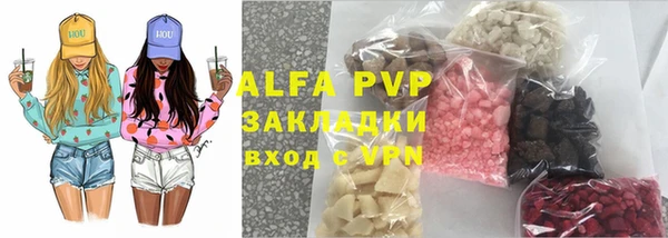 трава Ельня