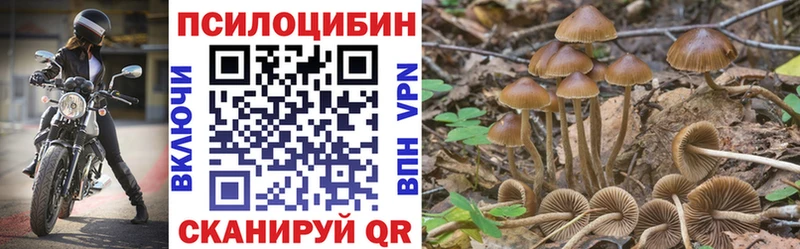 blacksprut зеркало  купить наркотики цена  Покров  Псилоцибиновые грибы ЛСД 